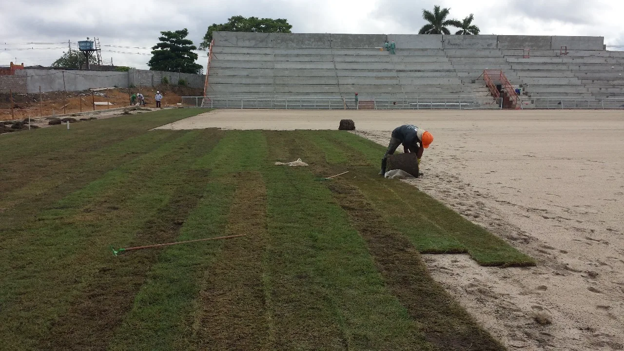 Plantio de Grama