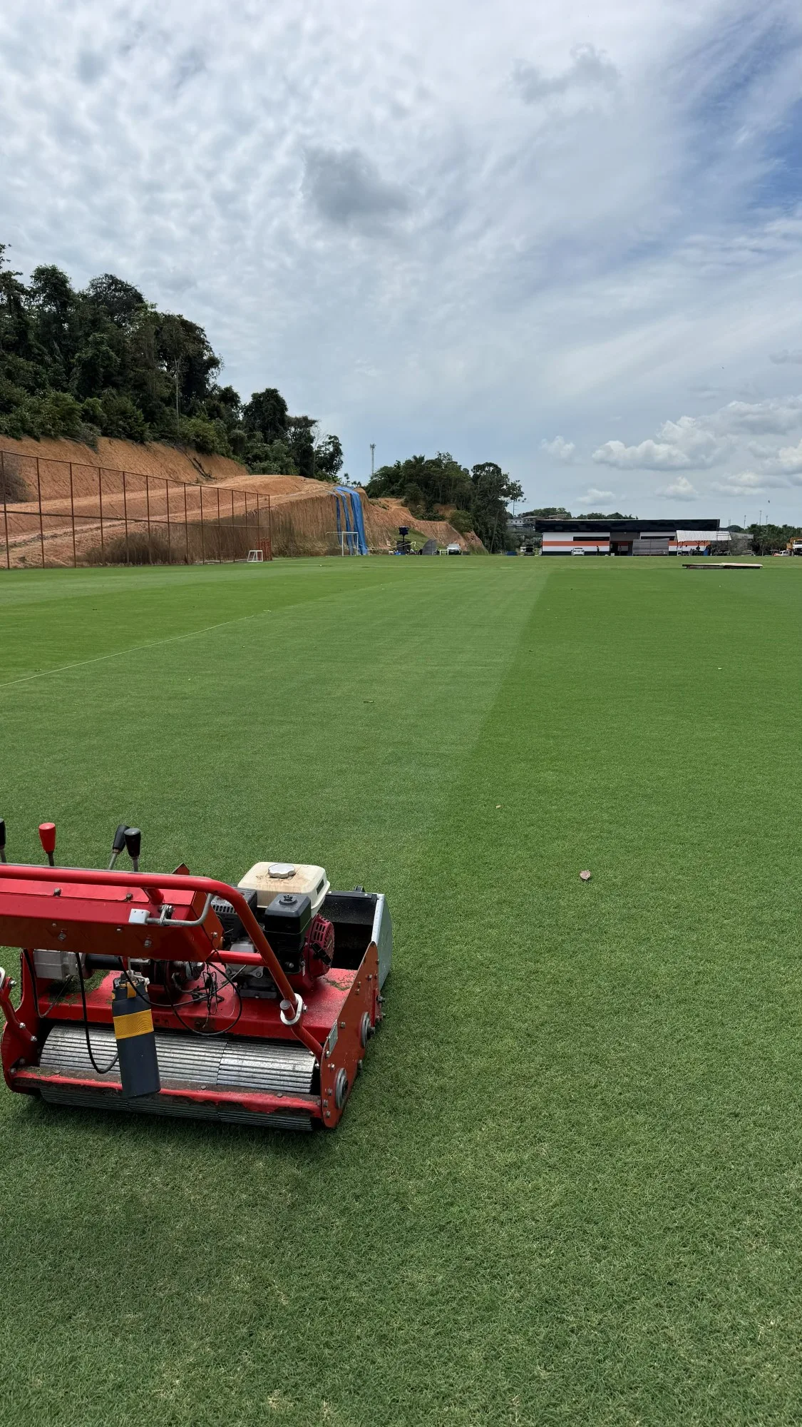 Manutenção de gramado esportivo: calendário anual