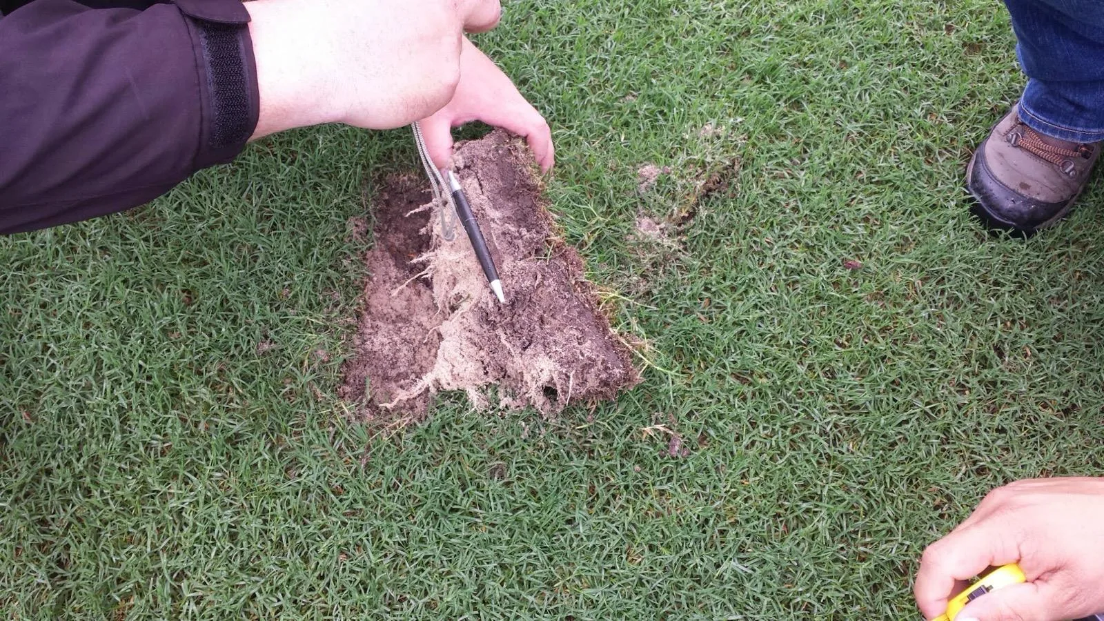 Análise de solo: o que medir antes de plantar