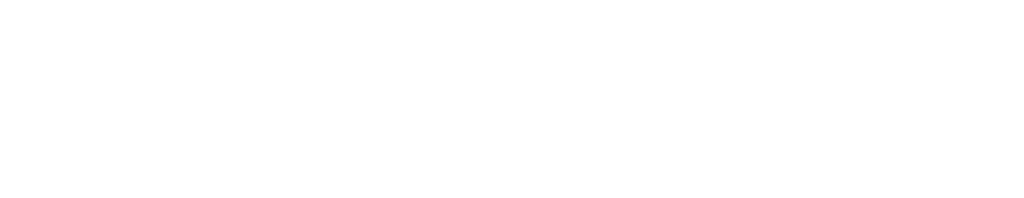 RainBird_RGB_Brandmark_White